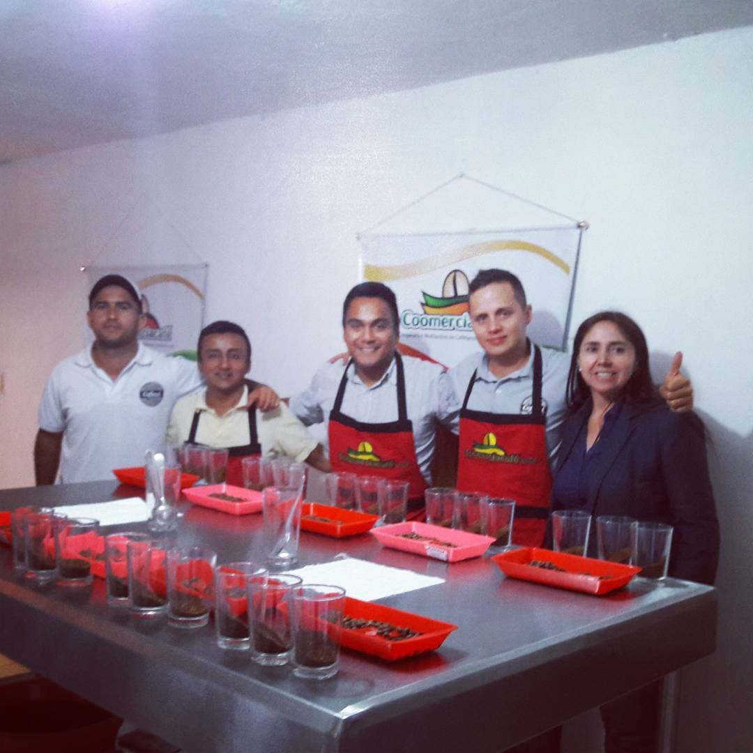 Catación en cooperativa cafetera